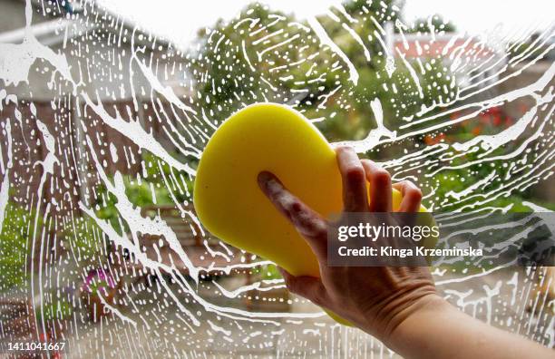 window cleaning - liquide vaisselle photos et images de collection