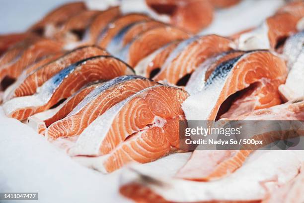 salmon stakes on ice at fish market - trout stock pictures, royalty-free photos & images