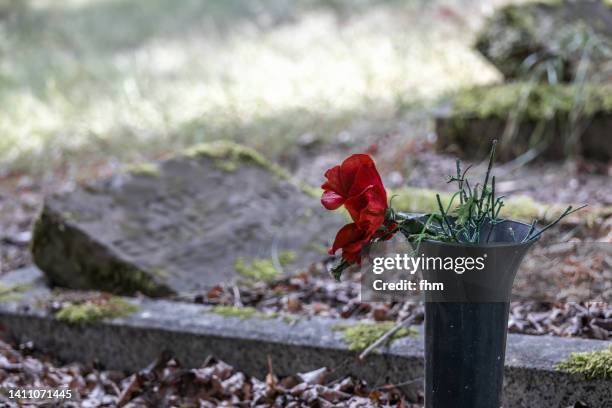 old grave on a cemetery - cesar flores fotografías e imágenes de stock