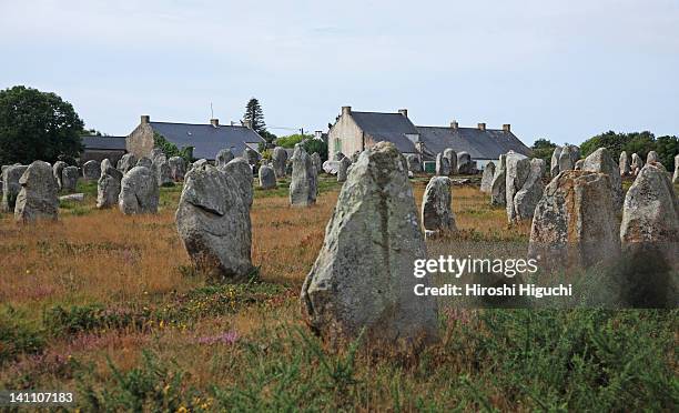 france, brittany - carnac stock pictures, royalty-free photos & images