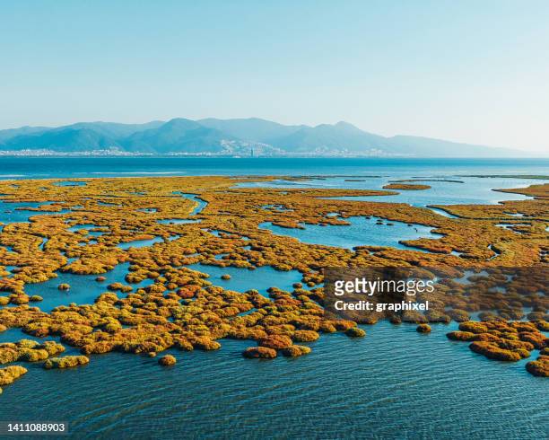 vista aérea do pantanal e delta em izmir - preservação da fauna selvagem - fotografias e filmes do acervo
