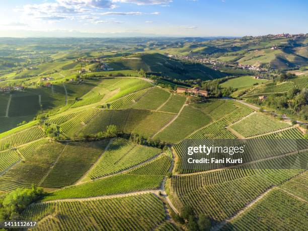 langhe viñedos - territorial fotografías e imágenes de stock