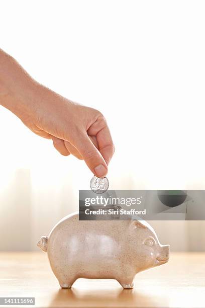Side View Bank 568 Piggy Bank Side View Stock Photos, High-Res Pictures, and Images ...