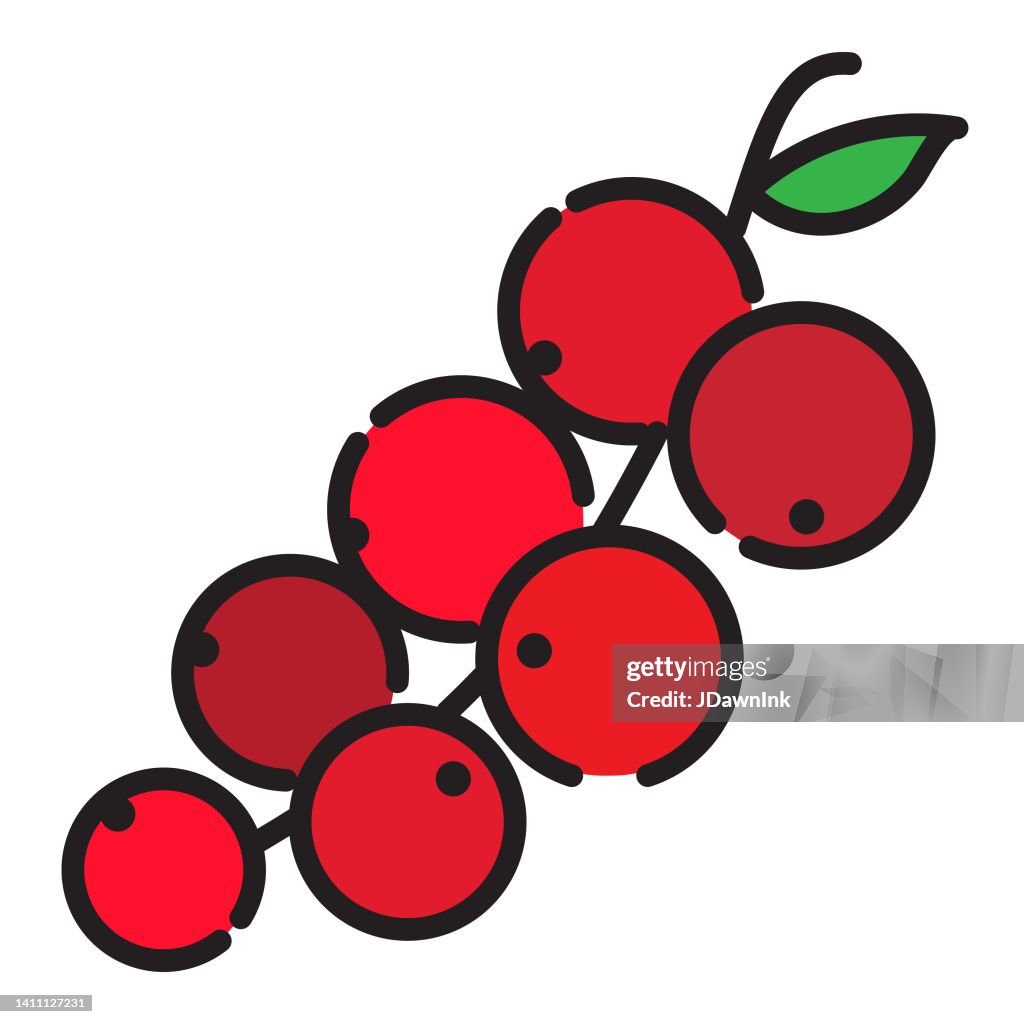 Whole and sliced fresh fruit vine ripe tomato thin line Icon - editable stroke
