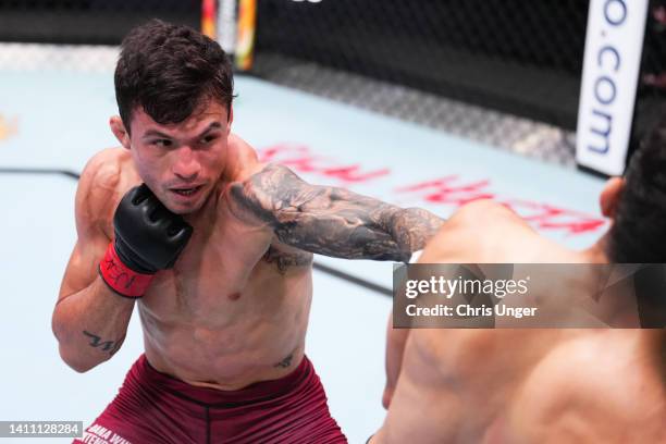 Alessandro Costa of Brazil punches Juan Andres Luna of Ecuador in a flyweight fight during Dana White's Contender Series Season 6 Week 1 at UFC APEX...