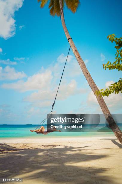 schöne frau sitzt auf seilschaukel mit kokospalme - beach and palm trees stock-fotos und bilder