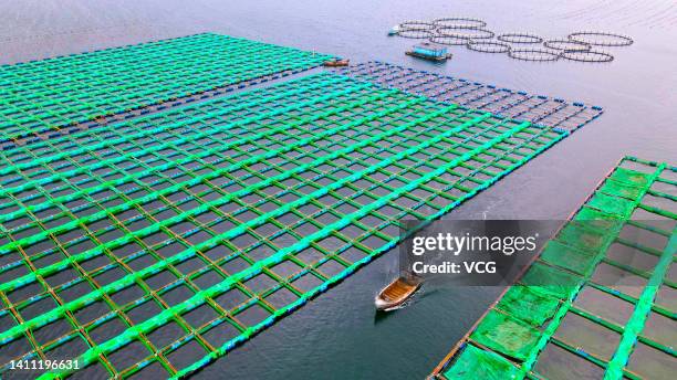 Aerial view of a fishing boat sailing at a floating fish farm in Sanggou Bay on July 27, 2022 in Rongcheng, Weihai City, Shandong Province of China.