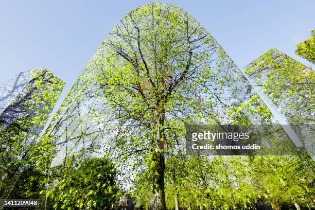 composite of trees and financial buildings in london city - symbiotic relationship fotografías e imágenes de stock