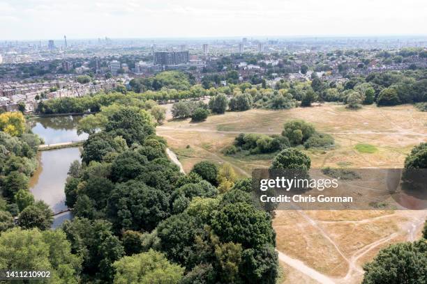 View of the dry grass of Hampstead Heath on July 13,2022 in London, England. Britain will experience a heatwave this week as temperatures in some...