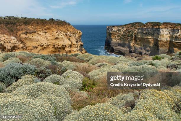70 Campbell Bay National Park Stock Photos, HighRes Pictures, and