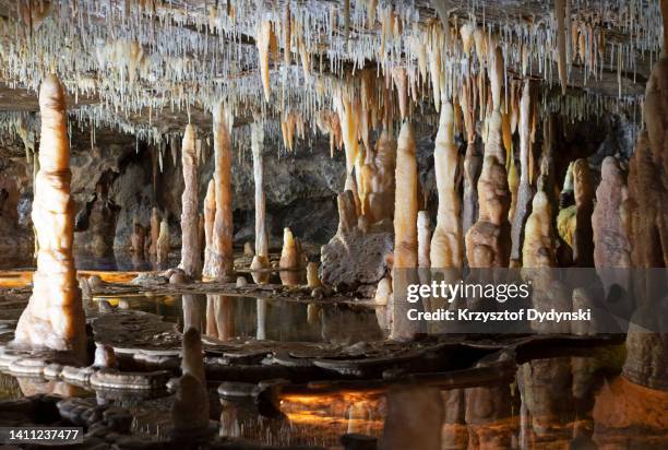 buchan caves, buchan caves reserve, victoria, australia - stalagmite stock pictures, royalty-free photos & images