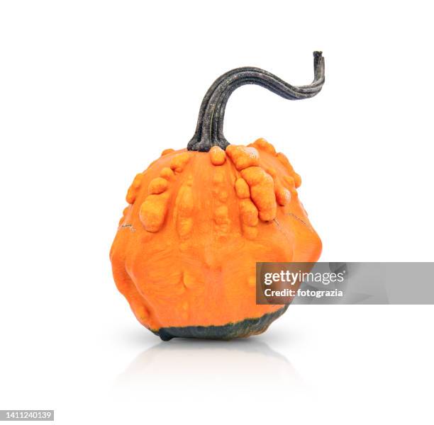 decorative pumpkin - kalebasse stock-fotos und bilder