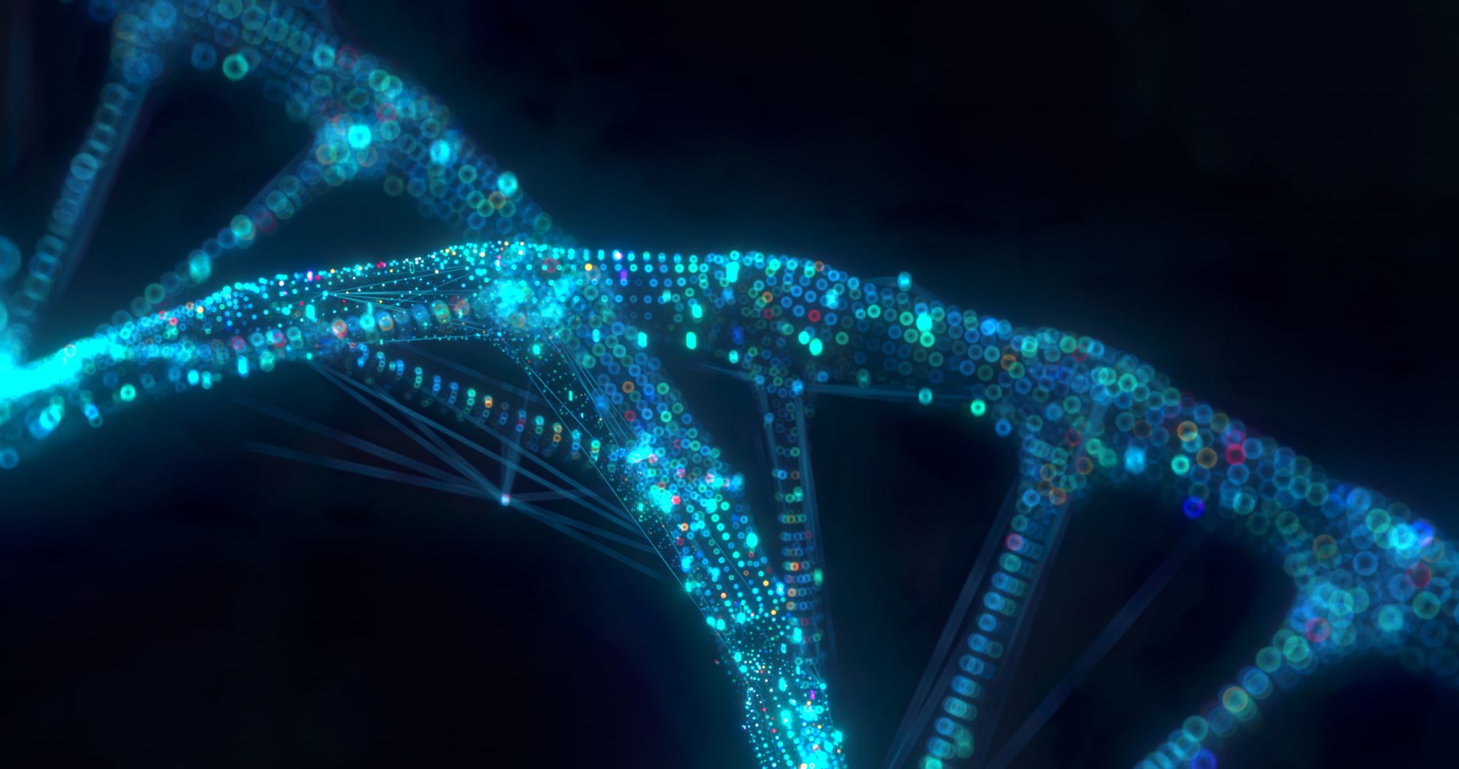 privacy dna security