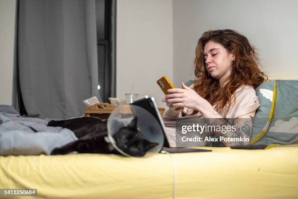 tired girl lying in bed using her mobile phone and laptop, while her cat sleeping at her feet. focus on background with defocused foreground. - hondenkraag stockfoto's en -beelden