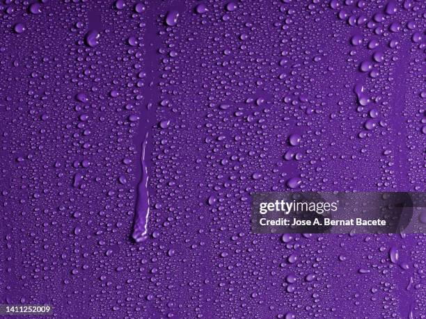 drops of rain water slide on a violet background. - frosty ストックフォトと画像