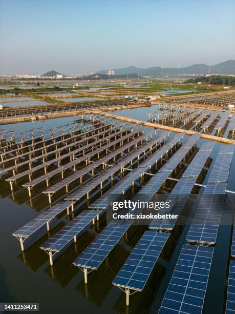 Fishing Pond Design Photos and Premium High Res Pictures - Getty Images