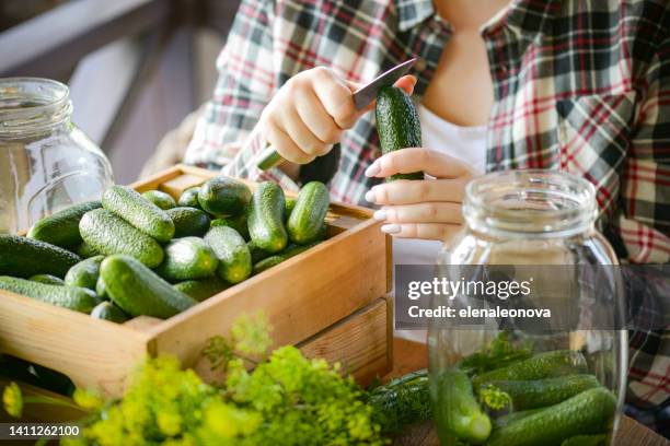 young woman makes homemade pickled cucumber preparations - i was turning into a vegetable stock pictures, royalty-free photos & images