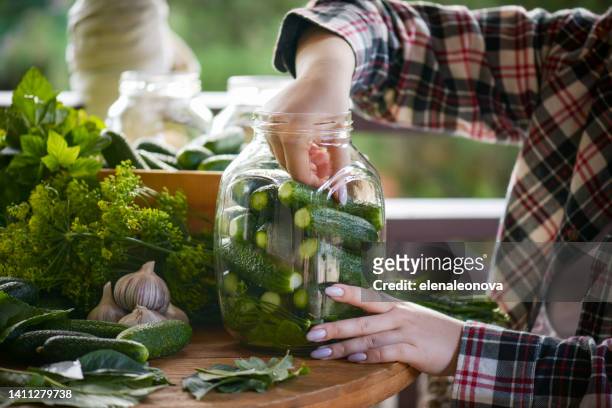 young woman makes homemade pickled cucumber preparations - preserves stock pictures, royalty-free photos & images