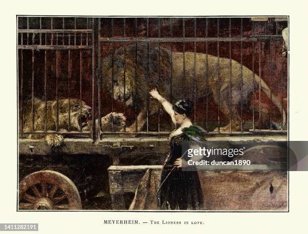 ilustraciones, imágenes clip art, dibujos animados e iconos de stock de la leona enamorada, domadora de leones de circo con sus leones, arte victoriano - animal tamer