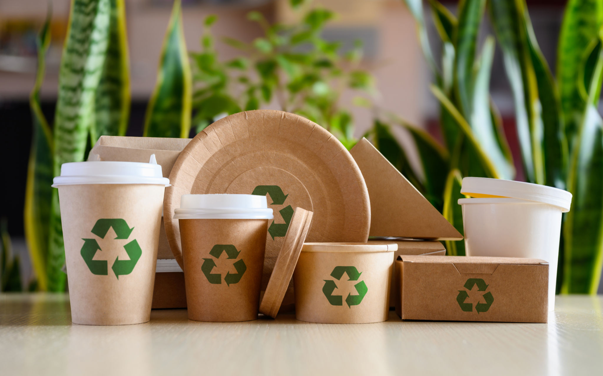 eco packaging