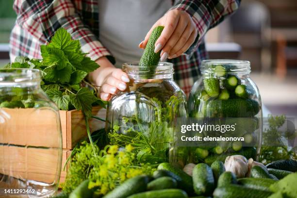 young woman makes homemade pickled cucumber preparations - i was turning into a vegetable stock pictures, royalty-free photos & images
