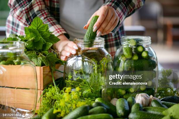 jovem faz preparações caseiras de pepino em conserva - conserva - fotografias e filmes do acervo