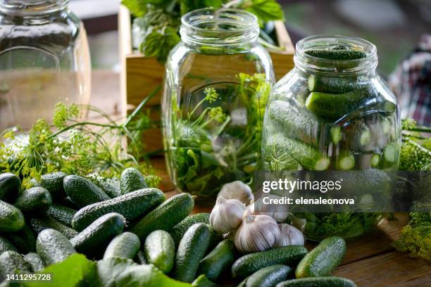 homemade marinated or pickled cucumbers - home salted stock pictures, royalty-free photos & images