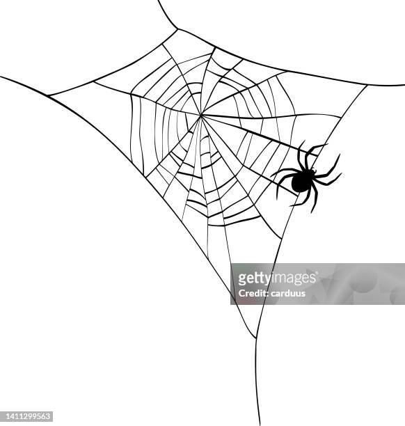 bildbanksillustrationer, clip art samt tecknat material och ikoner med spider web silhouette - spider web