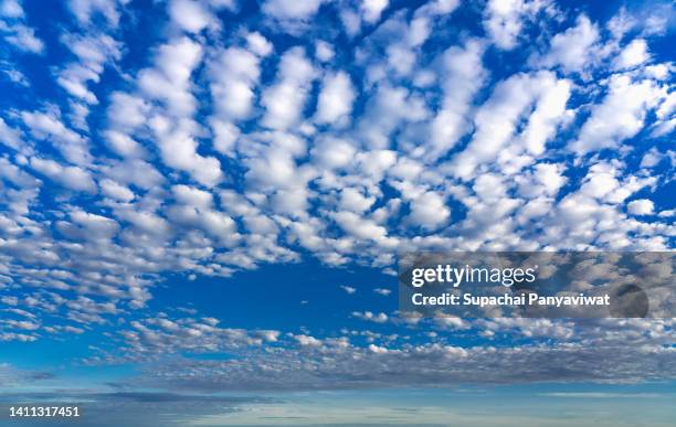 altocumulus cloud with the bluesky at the morning - altokumulus stock-fotos und bilder