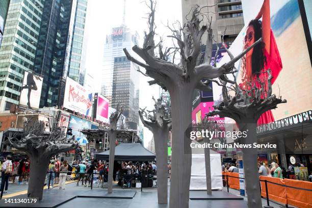 Tree Times Table Square Times Square Tree Photos and Premium High Res Pictures - Getty Images