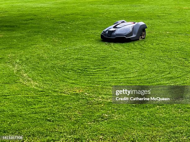 robot lawn mower cutting grass - lawnmower stock-fotos und bilder