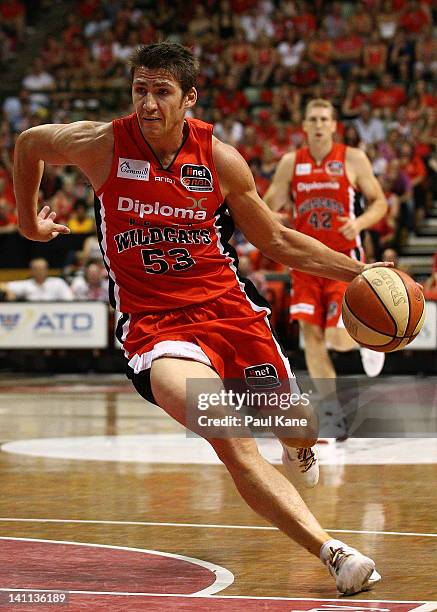 Damian Martin of the Wildcats drives to the basket during the round 23 NBL match between the Perth Wildcats and the Cairns Taipans at Challenge...