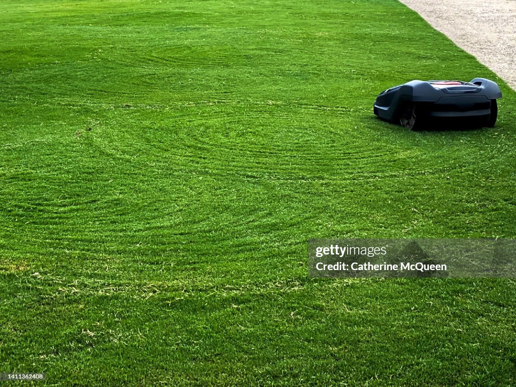 Common Robot Mower Scheduling Problems Common Robot Mower Scheduling Problems