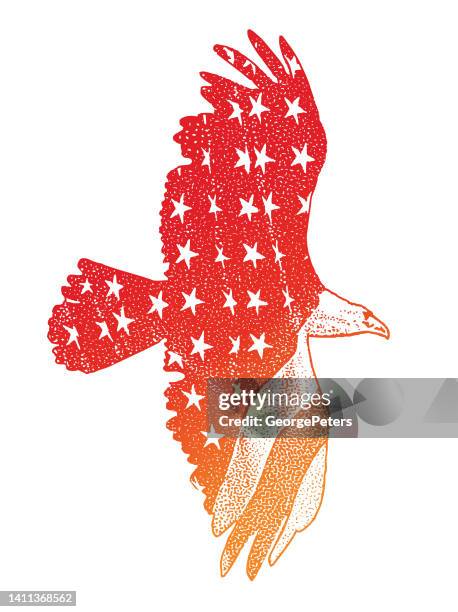 american flag and bald eagle - eagles patriots stock illustrations