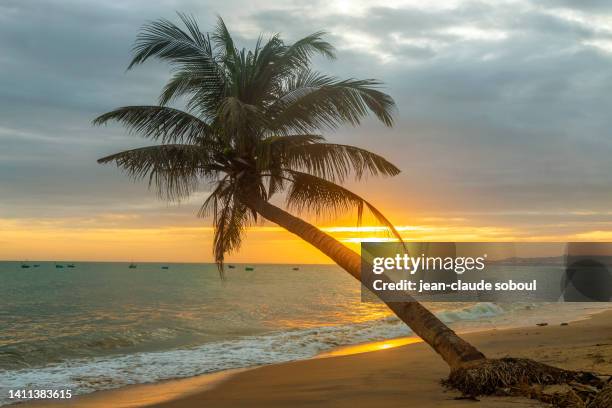 Sunset In Mui Ne Bay , 照片檔