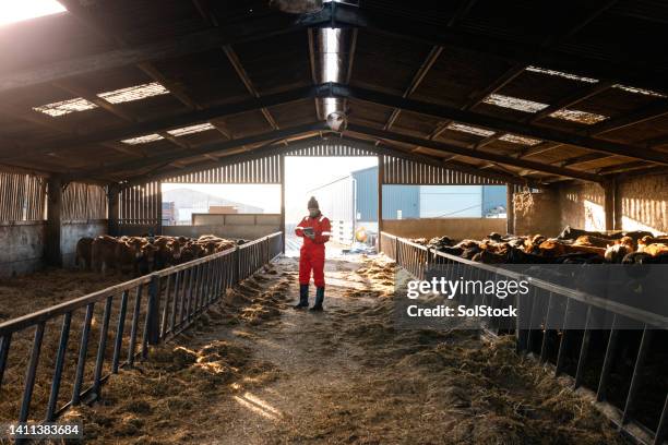 completing farming checklist - animal farm bildbanksfoton och bilder