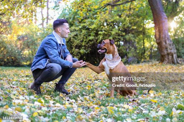 犬の握手 - デニムジャケット ストックフォトと画像