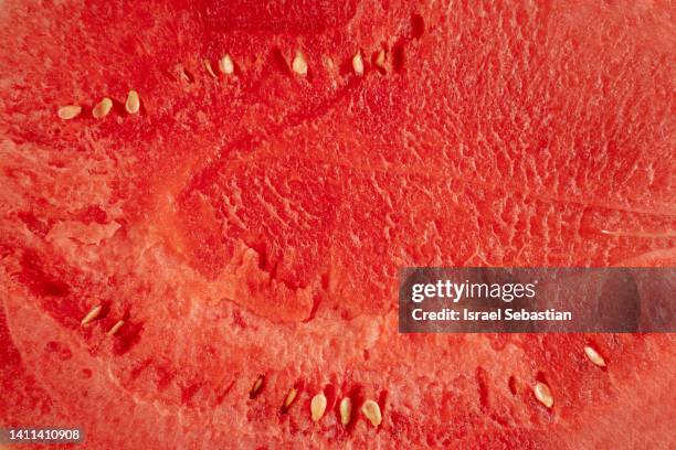 close-up of half a watermelon. - pastèque photos et images de collection