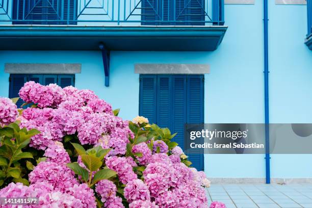 beautiful facade of a blue colored townhouse, surrounded by beautiful pink flowers. - house spain stock-fotos und bilder