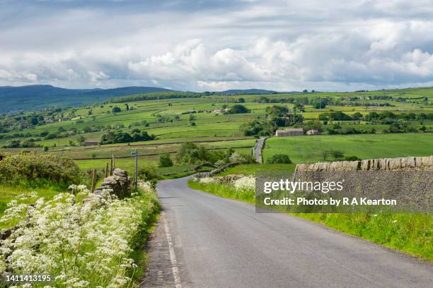 storm cloud and sunshine in the english countryside in may - cow parsley stockfoto's en -beelden