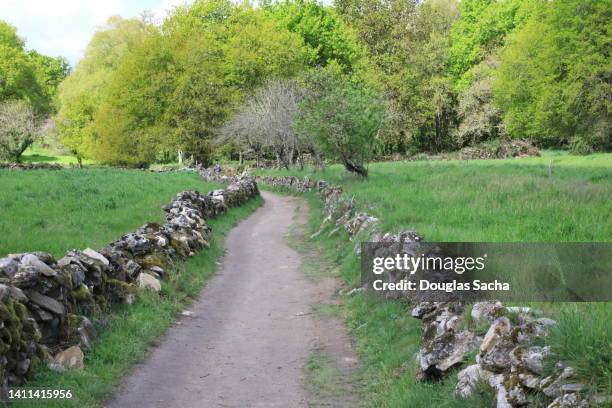 camino pilgrimage trail in rural spain - galicia camino stock pictures, royalty-free photos & images