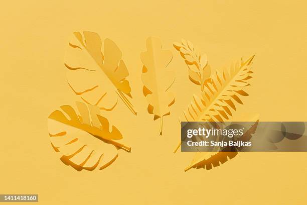 tropical paper leaves - origami tree stock pictures, royalty-free photos & images