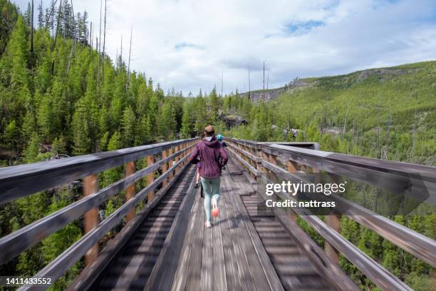 familienradfahren im myra canyon trestles bei kelowna - okanagan valley stock-fotos und bilder