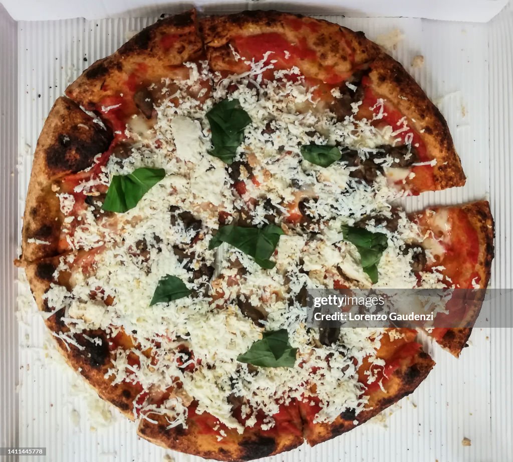 Pizza with vegetable, tomato, cheese, eggplant, basil and mozzarella in a takeaway box