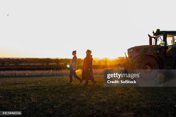 morning on the farm - farmer dawn stock pictures, royalty-free photos & images