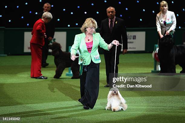 Elizabeth, a Lhasa Apso and owner Margaret Anderson are judged ahead of the result of 'Best in Show' at the 2012 Crufts dog show at the National...