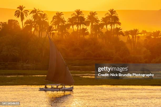 the nile, egypt. - nile river stock-fotos und bilder