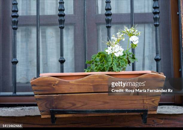 old fashioned flower box. - flower boxes stock pictures, royalty-free photos & images