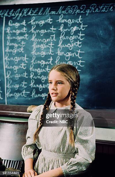 Troublemaker" Episode 17 -- Aired -- Pictured: Melissa Gilbert as Laura Elizabeth Ingalls Wilder -- Photo by: NBCU Photo Bank