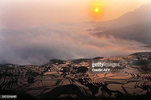 This picture taken on on March 11, 2012 shows a hillslope of paddy fields in the mountainous region of Yuanyang, southwest China's Yunnan province....